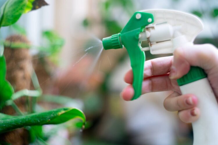 How to Use Neem Oil on Plants to Prevent Garden Pests